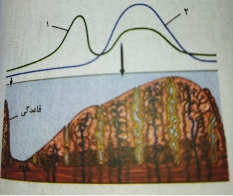 دریافت سوال 24