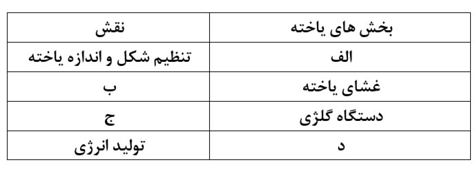 دریافت سوال 12