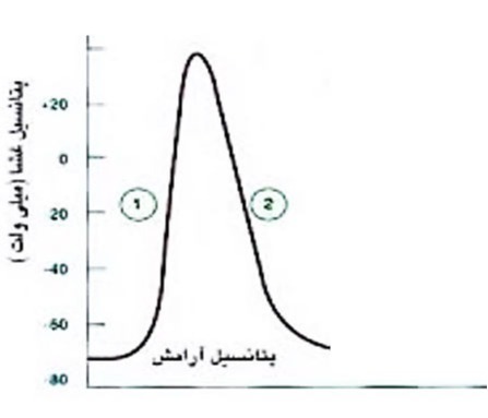 دریافت سوال 6