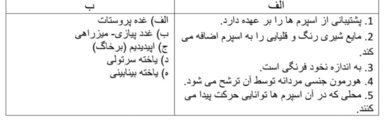 دریافت سوال 8