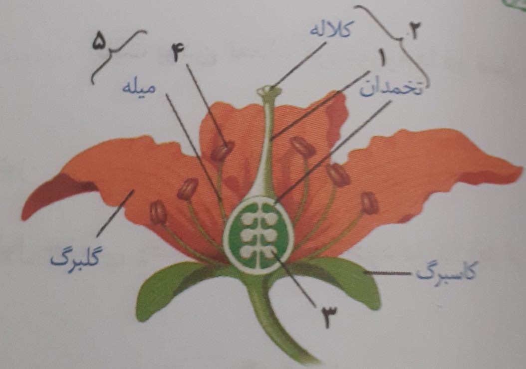 دریافت سوال 20