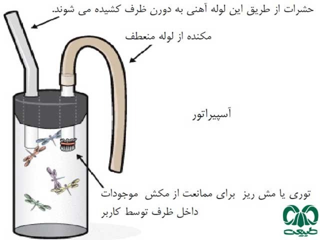 دریافت سوال 11