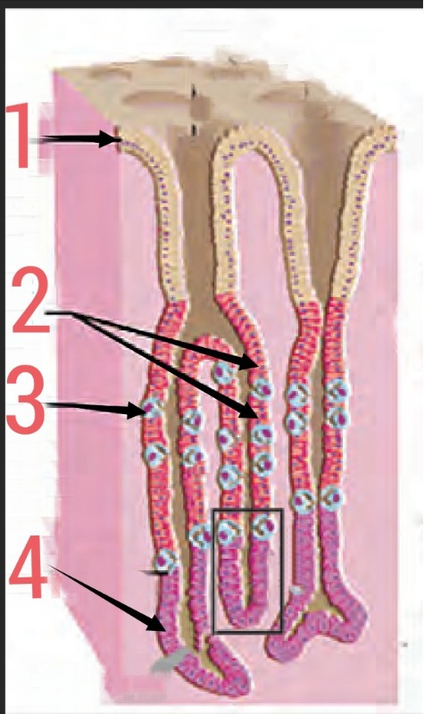 دریافت سوال 6