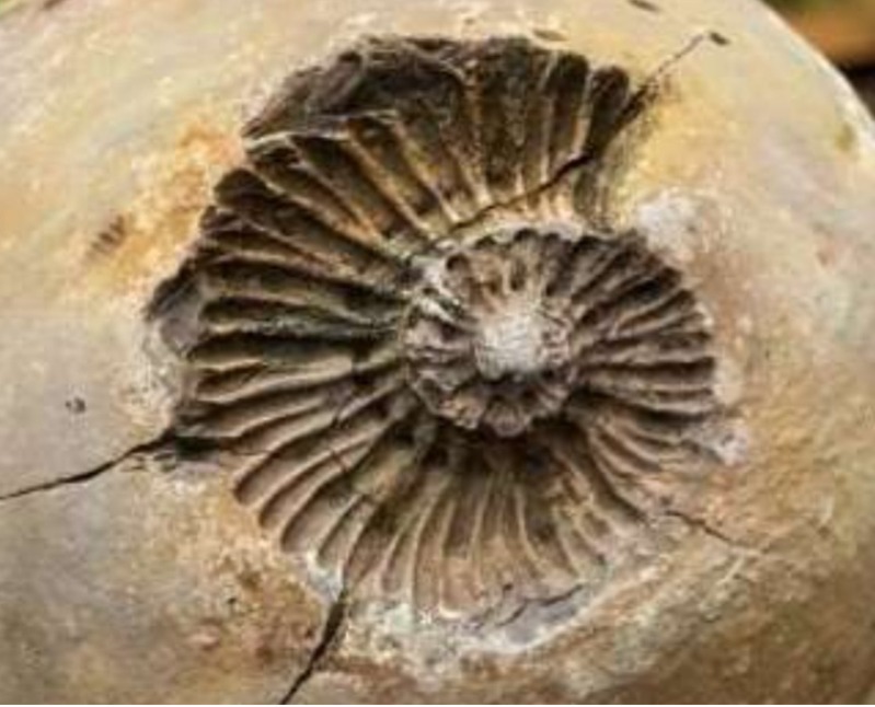 دریافت سوال 26