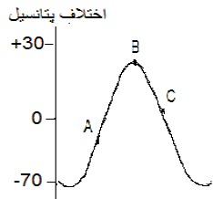 دریافت سوال 13