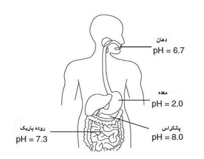 دریافت سوال 14