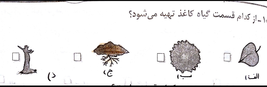 دریافت سوال 15