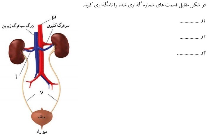 دریافت سوال 27