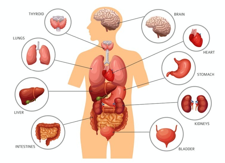دریافت سوال 12