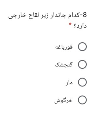 دریافت سوال 11