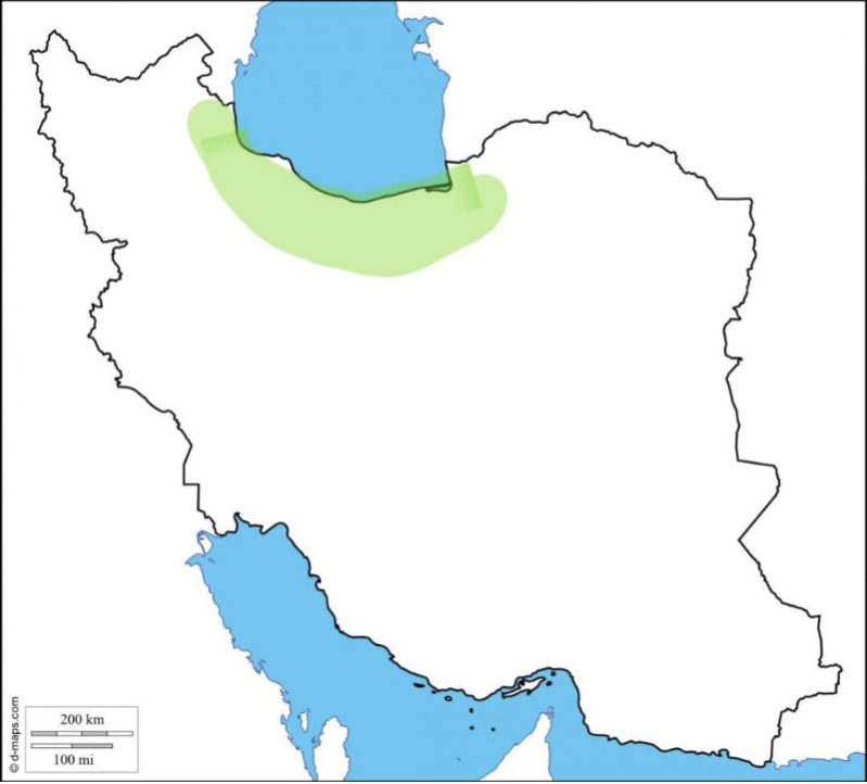 دریافت سوال 4