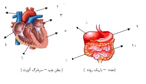 دریافت سوال 19