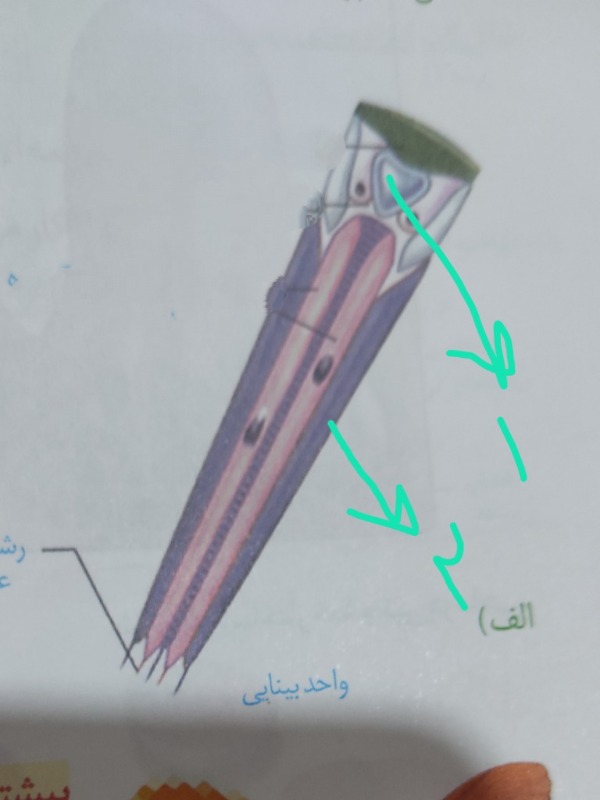 دریافت سوال 16