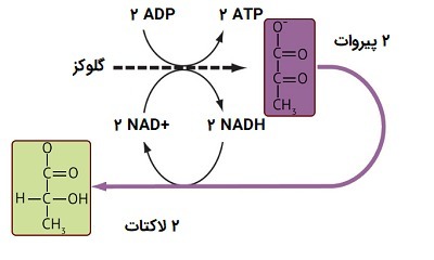 دریافت سوال 5