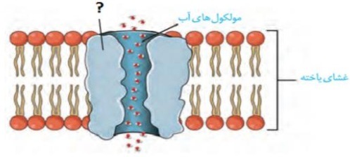 دریافت سوال 33