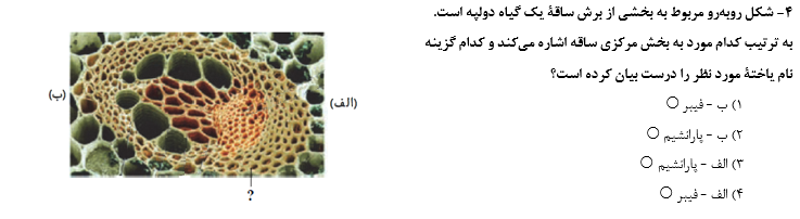 دریافت سوال 4