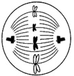 دریافت سوال 38