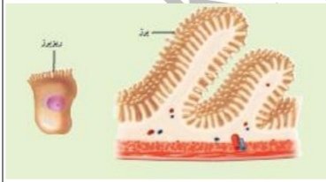 دریافت سوال 12