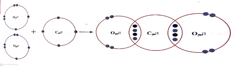 دریافت سوال 14