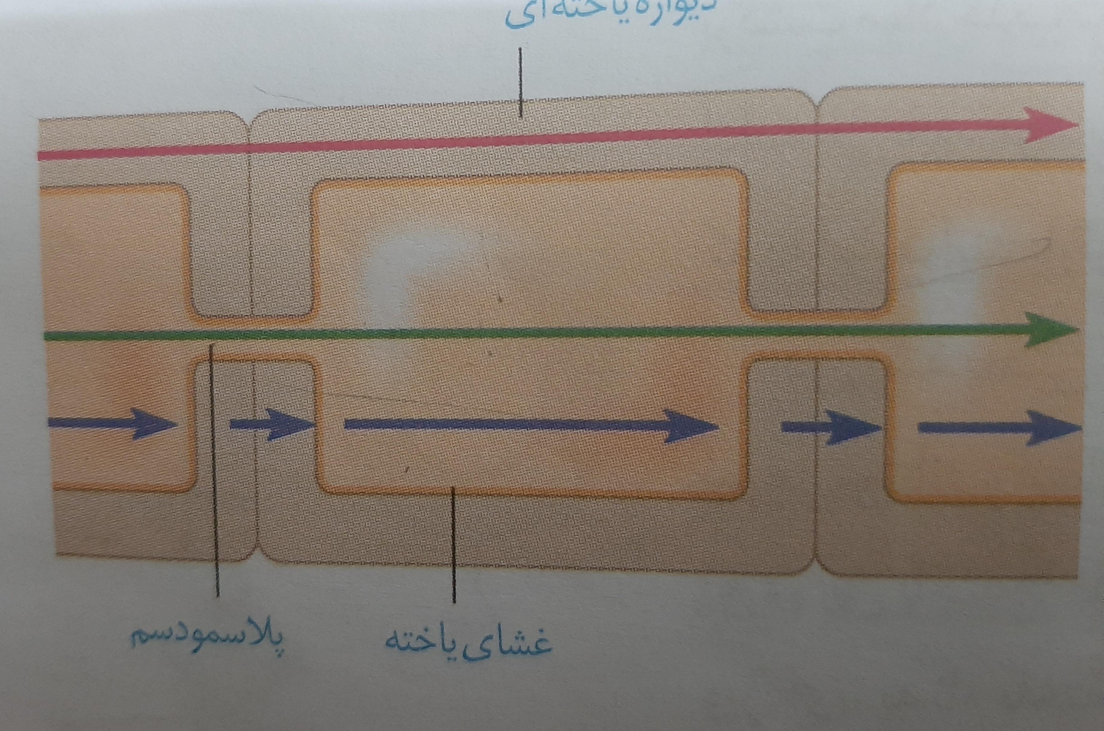 دریافت سوال 24