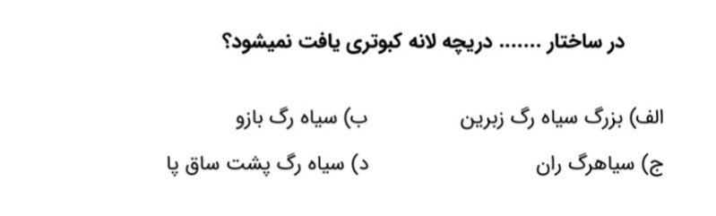 دریافت سوال 34