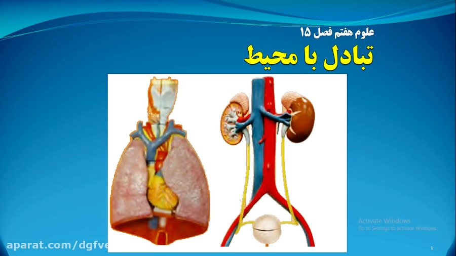 دریافت سوال 24