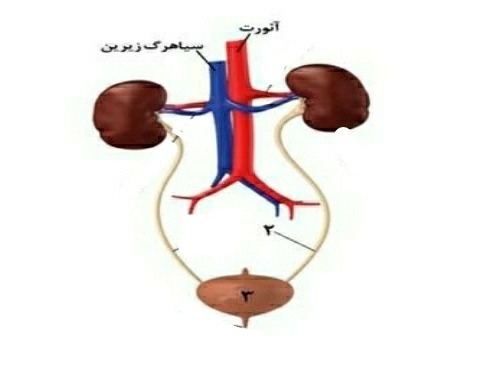 دریافت سوال 30