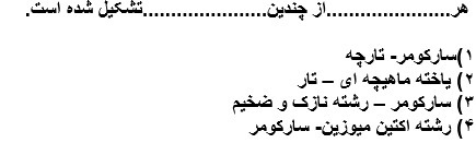 دریافت سوال 13