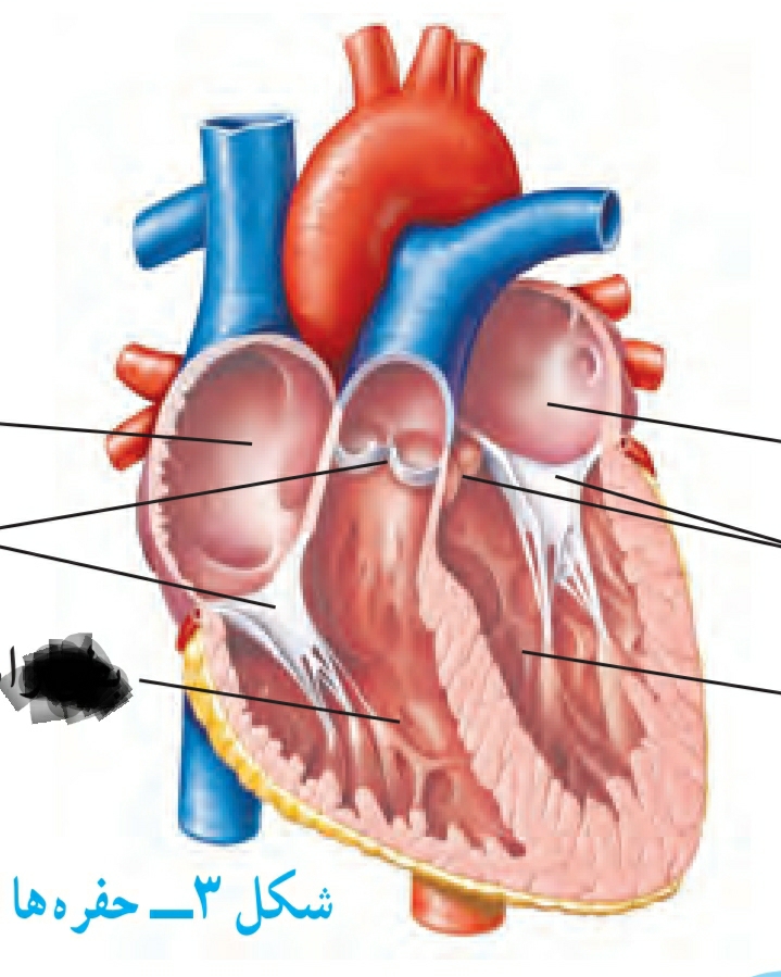 دریافت سوال 19