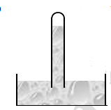 دریافت سوال 12