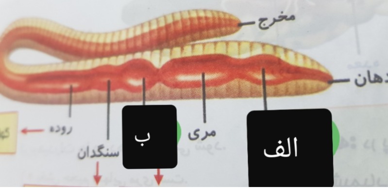 دریافت سوال 3