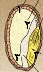 دریافت سوال 14