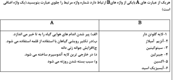 دریافت سوال 11