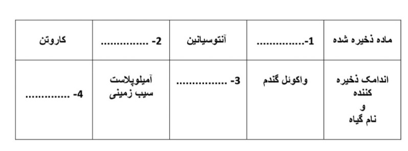 دریافت سوال 19