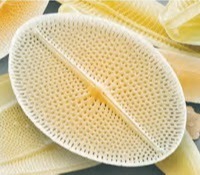 دریافت سوال 22