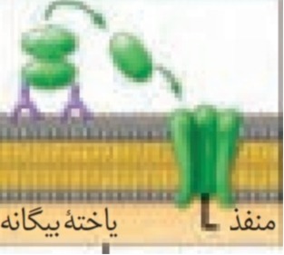 دریافت سوال 10