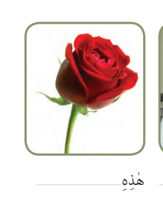 دریافت سوال 17
