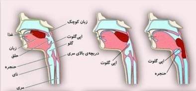 دریافت سوال 5