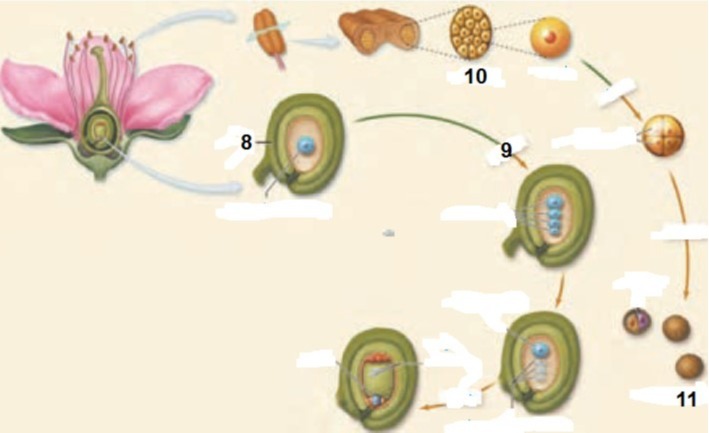 دریافت سوال 10