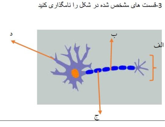 دریافت سوال 3