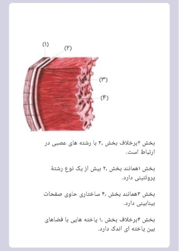 دریافت سوال 7