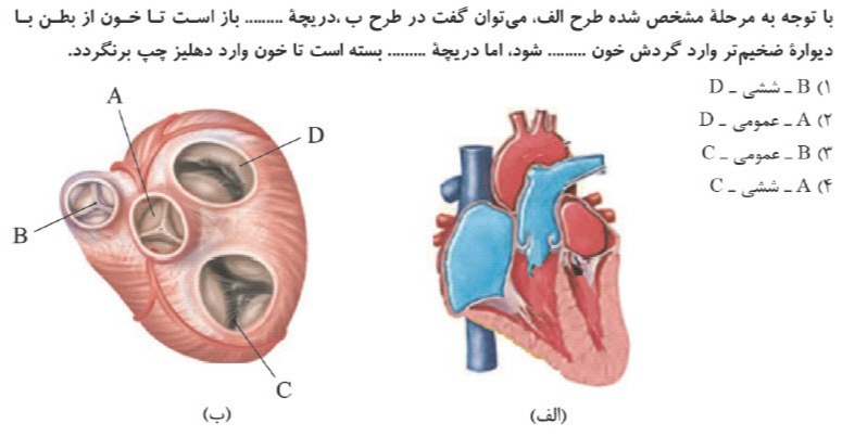 دریافت سوال 31