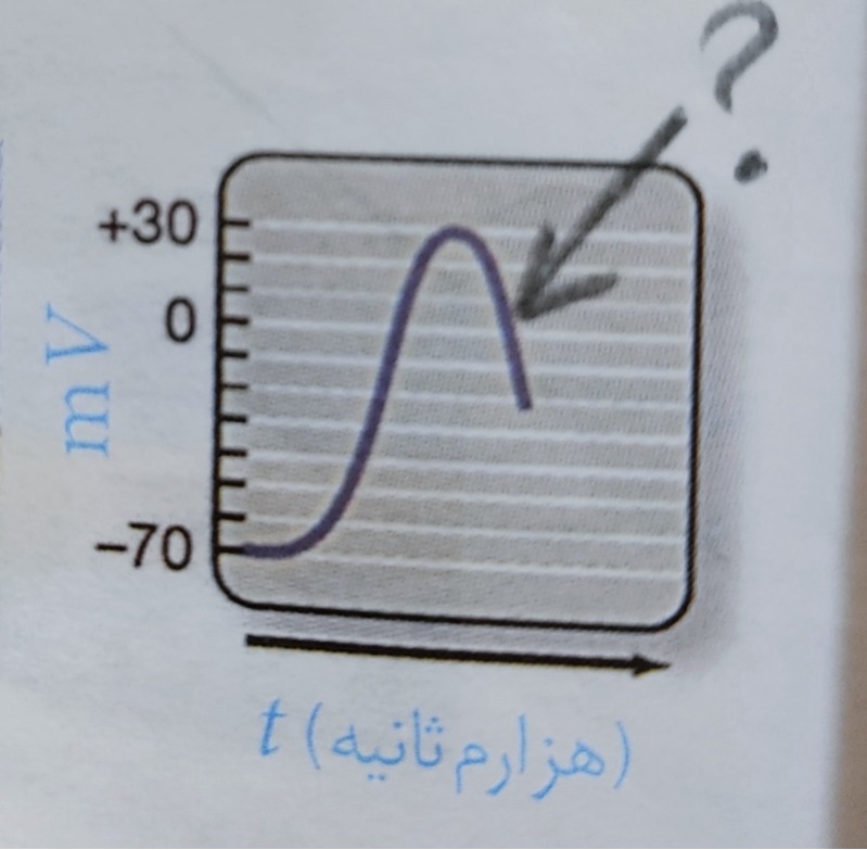 دریافت سوال 15