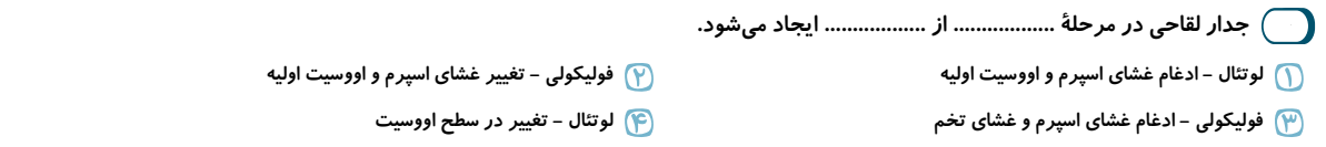 دریافت سوال 6