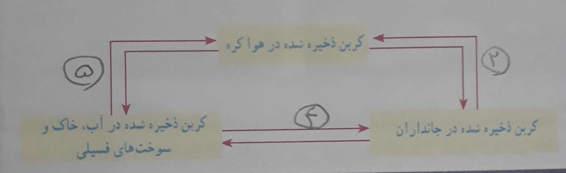 دریافت سوال 9