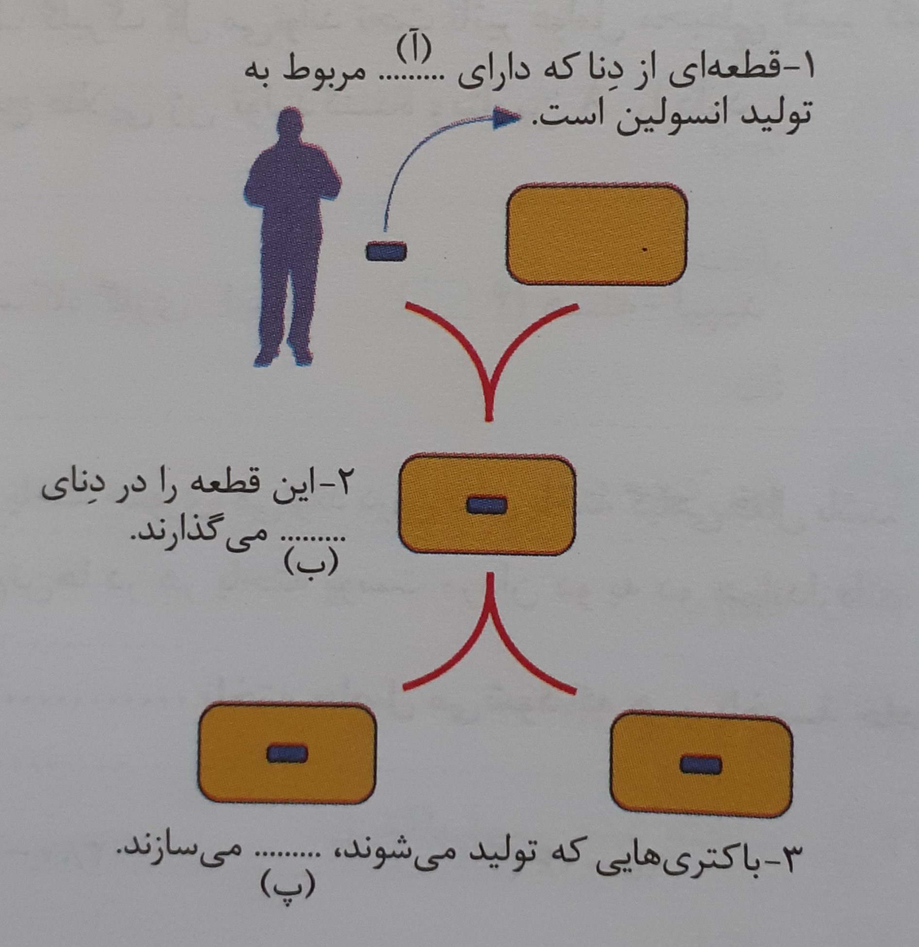 دریافت سوال 7