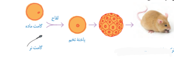 دریافت سوال 7