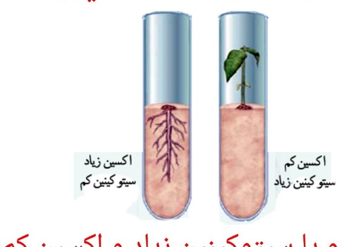 دریافت سوال 18