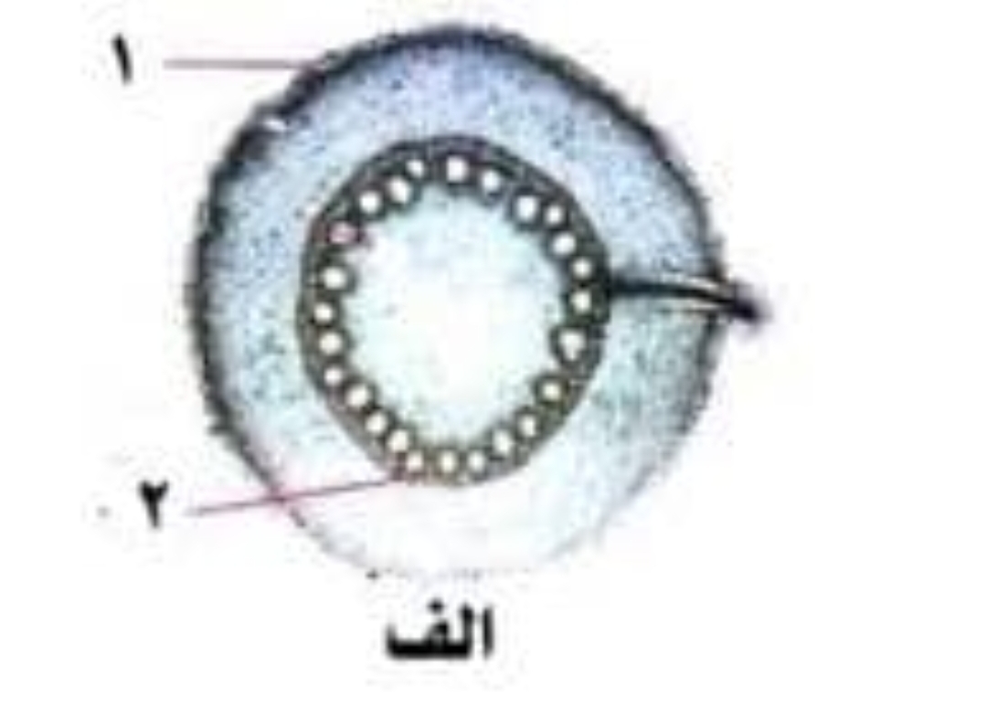 دریافت سوال 18