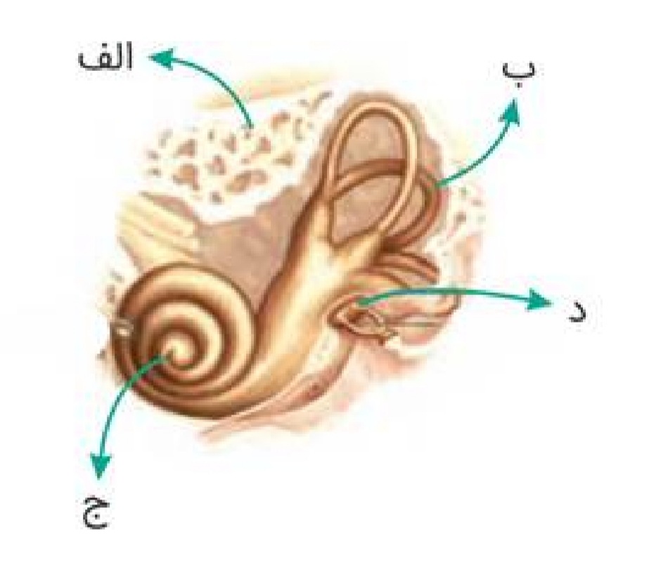 دریافت سوال 29